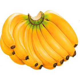 موز پریما درجه یک