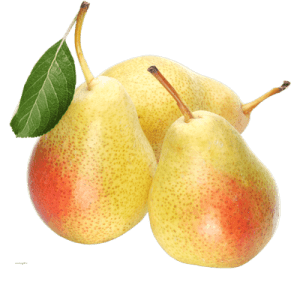 گلابی درجه یک