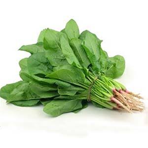 اسفناج دسته ای