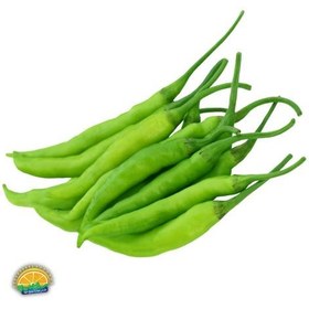 فلفل شیرین کاپی سبز