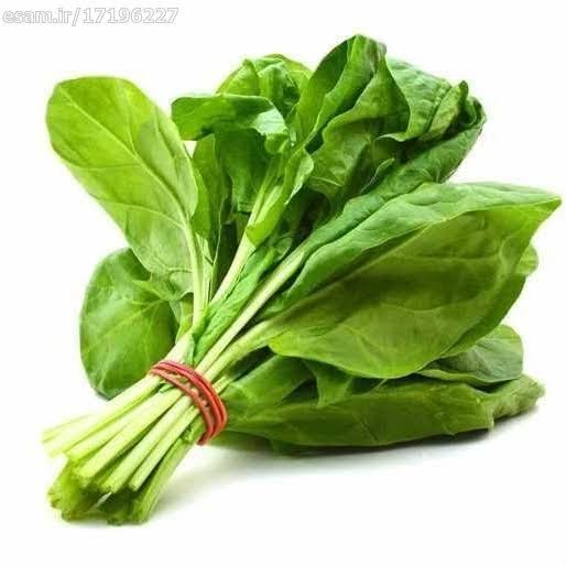 شاهی دسته ای